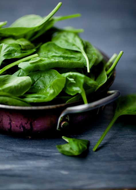 Homemade Spinach Dip, High Fiber Vegetables, Creamy Spinach Dip, Ingredients Photography, Growing Spinach, Spinach Dip Recipe, Vegetables Photography, Creamy Spinach, Creamed Spinach