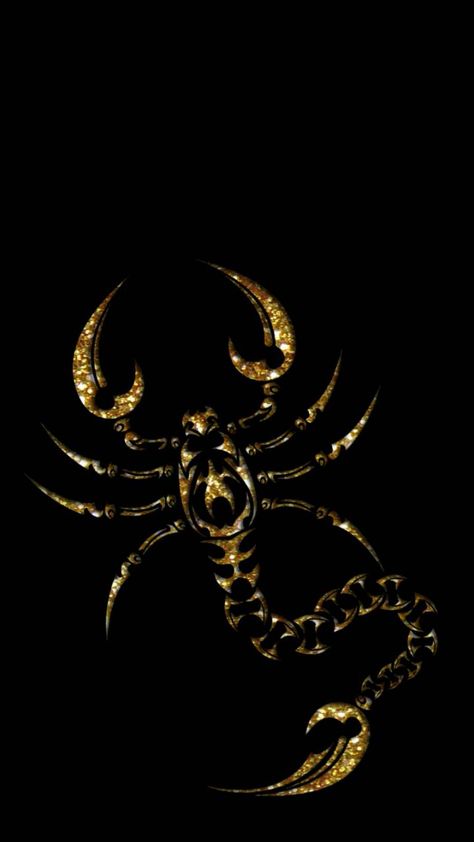 Download Golden Scorpion Wallpaper by illes1010 - 8c - Free on ZEDGE™ now. Browse millions of popular black Wallpapers and Ringtones on Zedge and personalize your phone to suit you. Browse our content now and free your phone Scorpio Magic, Spider Types, Scorpion Wallpaper, Scorpio Wallpaper, Scorpio Zodiac Tattoos, Scorpio Art, Black And Gold Aesthetic, Scorpio Tattoo, Scorpion Tattoo