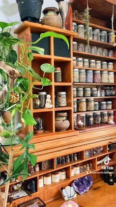 Small Space Apothecary, Apothecary Decor Kitchen, Apothecary Sunroom, How To Start An Herbal Apothecary, Witchy Apothecary Shelf, Apothecary Organization Ideas, Herbal Room Ideas, Building An Apothecary, Apothecary Shelves Display