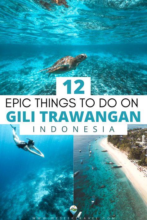 Things to do on Gili Trawangan Gili Islands Bali, Asia Honeymoon, Rich Travel, Asia Vacation, Gili T, Asian Travel, Bali Vacation, Beach Destinations, Gili Trawangan