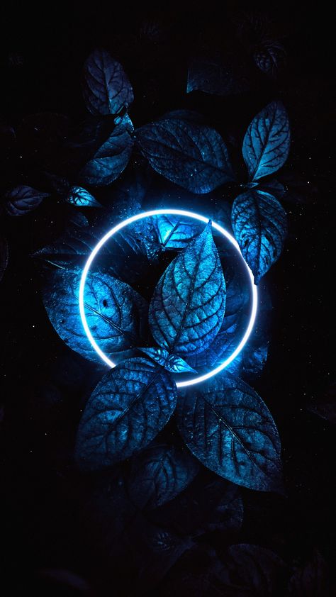 Neon Blue Wallpaper, Portret Art, Neon Wallpapers, Surealism Art, Dark Blue Wallpaper, Amoled Wallpapers, Instagram Bio Quotes, Tropical Leaves Pattern, Chill Photos