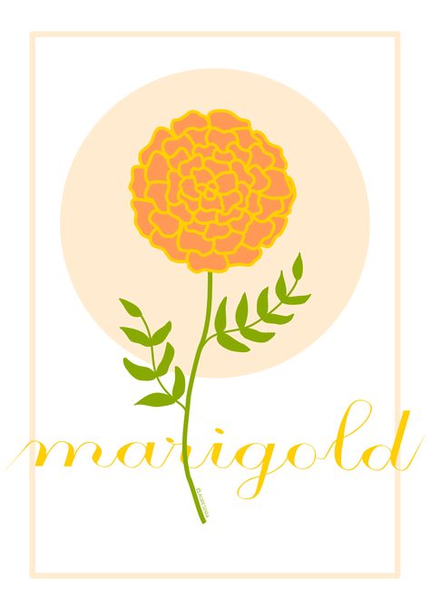 Marigold Logo Design, Marigolds Illustration, Marigold Artwork, Marigold Logo, Marigold Border, Marigold Drawing, Marigold Embroidery, Marigold Tattoo, October Birth Flower