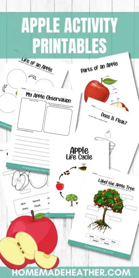 Free Apple Activity Printables Apple Unit Study, Apple Life Cycle, Activity Printables, Unit Studies Homeschool, Apple Unit, Apple Activities, Apple Theme, Homeschool Life, Homeschool Printables