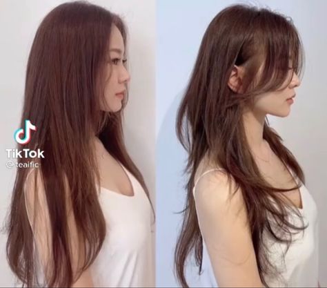 #hair #hairstyles Hush Long Haircut, Wolfcut Hair Thick Hair, Long Layered Hair Korean Straight, Long Haircuts Unstyled, Haircut For Long Hair Korean, Korean Celebrity Hairstyle, Hush Cut Long Hair Straight, Long Wolf Cut Unstyled, Hushcut Hair Long