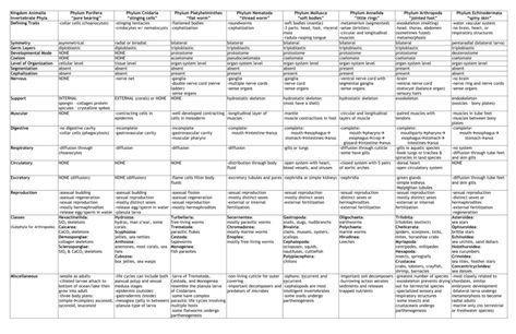 Invertebrate Phylum Chart Embryonic Development, Medical Notes, Chart Paper, Writing Websites, Cnidaria, Animal Classification, Best Essay Writing Service, Gandhi Quotes, School Essay