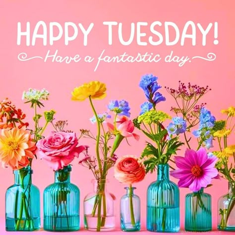 Gm Tuesday Blessing, Happy Tuesday Images, Week Motivation, Happy Tuesday Morning, Tuesday Greetings, Tuesday Images, Fabric Wreaths, Hello Tuesday, Terrific Tuesday