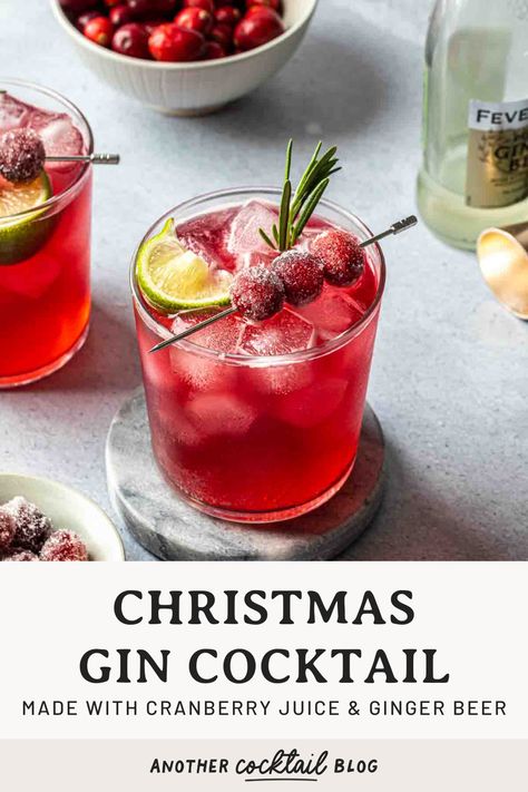 Made with cranberry juice, maple syrup and a splash of ginger beer, this Christmas gin cocktail is crisp and refreshing. We've garnished it with fresh rosemary and sugared cranberries for a festive, vibrant cocktail that will be the hit of your holiday gathering. Tom Collins Drink Recipes, Rosemary Cocktail, Ginger Beer Cocktail, Bourbon Apple Cider, Maple Whiskey, Christmas Gin, Ginger Cocktails, Rosemary Syrup, Fall Cocktails Recipes