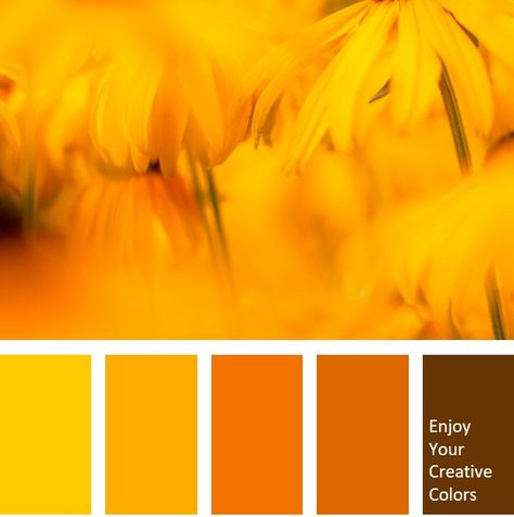 MillionShade.com - Enjoy your creative colors Yellow Orange Colour Palette, Color Pallets Yellow, Yellow Shades Colour Palettes, Yellow Color Palette Code, Hive Aesthetic, Yellow Orange Color Palette, Yellow Color Pallet, Modular Branding, Yellow Pallet