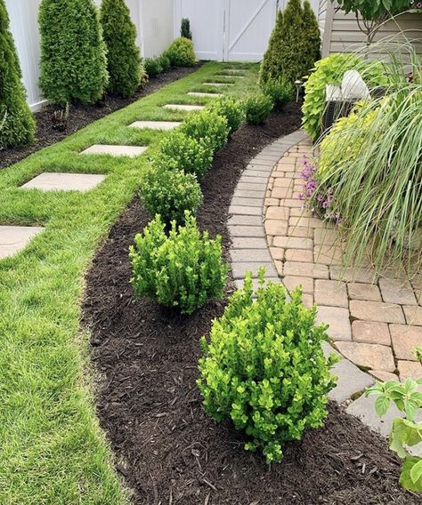 ProvenWinnersDirect on Instagram: “Make your hedge dreams come true with our Sprinter boxwoods, like @goodpathgarden did. 😍 And, even better, they're on sale now! ⠀ Click the…” Sprinter Boxwood, Victorian Front Garden, Boxwood Landscaping, Front Flower Beds, Boxwood Garden, Fall Planting, Front Garden Landscape, Front Landscaping, Backyard Paradise