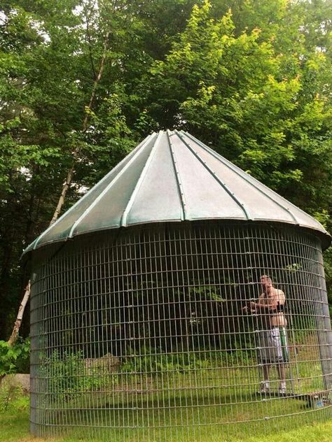 Corn Crib Aviary, Bin Gazebo, Crib Ideas, Corn Crib, Bird Aviary, Bird Cage, Cribs, Gazebo, Diving