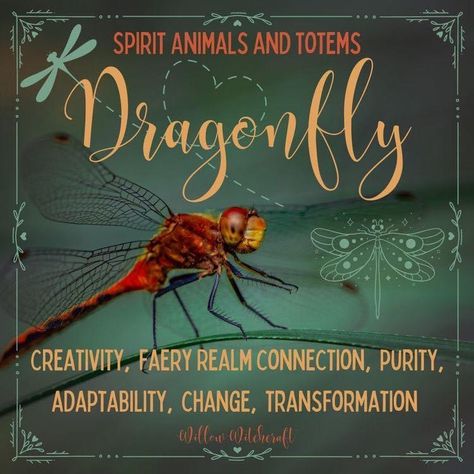 Animal Totem Spirit Guides, Dragonfly Symbolism, Tree Hugging, Spirit Animal Meaning, Spirit Fingers, Animal Meanings, Boss Moves, Cat Advice, Spirit Finger