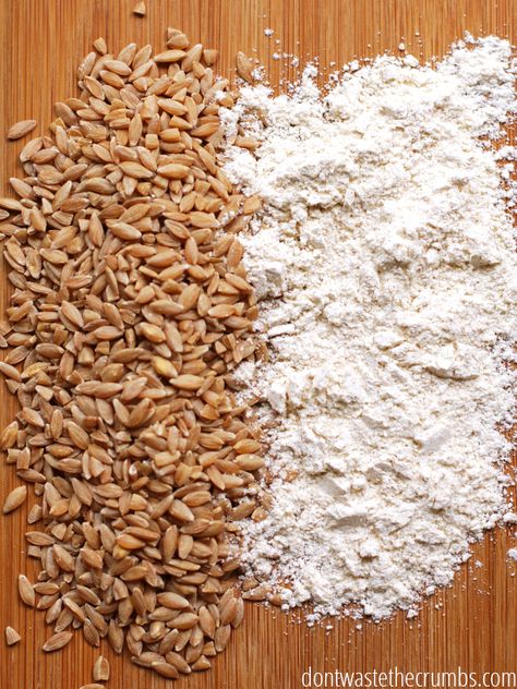 Make Your Own Flour, Wheat Berry Recipes, All Purpose Flour Recipes, How To Make Flour, Einkorn Flour, Wheat Recipes, Grain Mill, Homemade Granola Bars, Vitamix Recipes