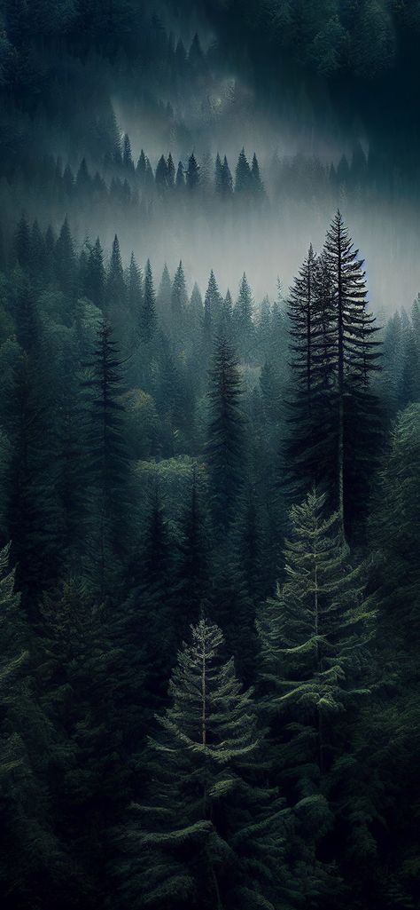 Coniferous Forest Aesthetic Wallpaper - Aesthetic Forest Wallpaper Cloudy Forest Wallpaper, Forest Green Iphone Wallpaper Aesthetic, Dark Forest Wallpaper Iphone, Black Forest Aesthetic, Mage Wallpaper, Dark Forest Wallpaper, Forest Wallpaper Iphone, Coniferous Forest, Dark Forest Aesthetic