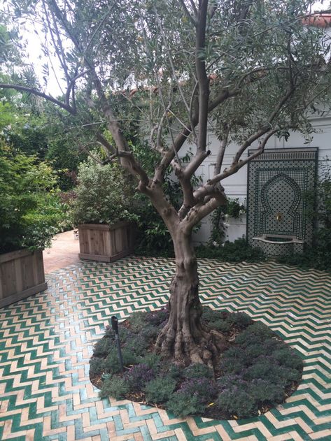 badiadesign.com Outdoor Tile Patio, Moroccan Garden, Cozy Garden, Garden Tiles, Garden Floor, Patio Tiles, Moroccan Tiles, Patio Interior, Backyard Garden Design