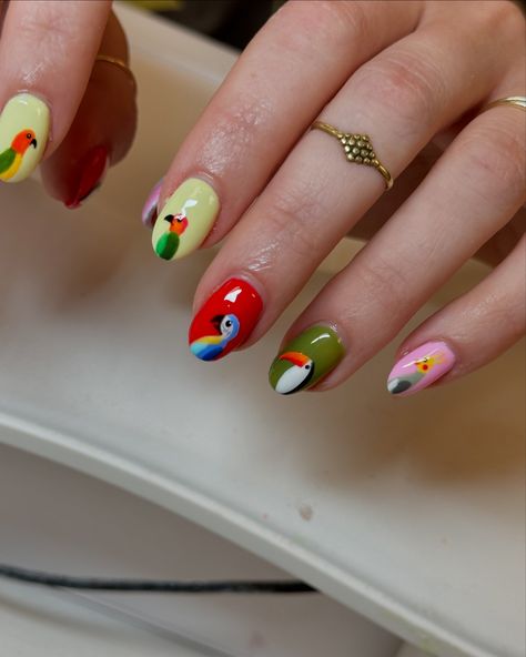 I don’t even know what to say other than I’m obsessed 😭🦜 . #nails #birdnails #handpainted #brillbirdusa #buildergel #vanailtech #summernails Big Bird Nails, Nails With Birds, Nail Art Bird, Angry Bird Nail Art, Slug Nails, Budgie Nail Art, Bird Nails, What To Say, Summer Nails