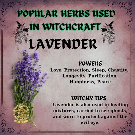 Common herbs used in witchcraft include: - **Sage**: Often used for cleansing and protection. - **Rosemary**: Associated with memory and fidelity, used in rituals for clarity. - **Lavender**: Known for promoting peace and tranquility, often used in love spells. - **Mugwort**: Used for enhancing dreams and psychic abilities. - **Basil**: Believed to attract wealth and protect against negativity. These herbs are valued for their symbolic meanings and practical applications in various magical ... Herbs Used For Protection, Purification Herbs Witchcraft, Protection Herbs Witchcraft, Herbs For Psychic Abilities, Herbs Used In Witchcraft, Herb Meanings, Spiritual Herbs, Witchcraft Meaning, Witchcraft Herbs