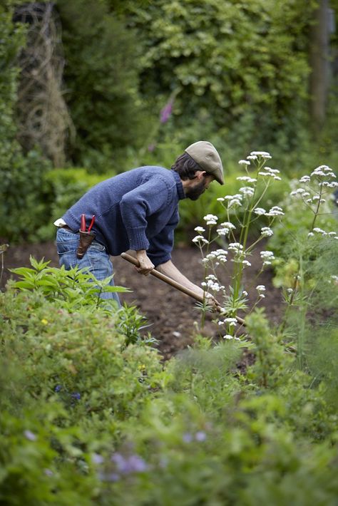 The Bosanquets knew they wouldn’t be able to maintain the kitchen garden as well as the vast house, which had been owned by Sam’s family since 1801. The solution was to place a Facebook ad to find someone who could. They received many hundreds of replies and myriad ideas but Colum, who had over a decade’s experience in organic growing, was chosen to take over the plot. Yardwork Aesthetic, Gardener Photoshoot, Hands Gardening, Gardener Photography, Man Gardening, Person Gardening, Men Gardening, People Gardening, Gardener Aesthetic