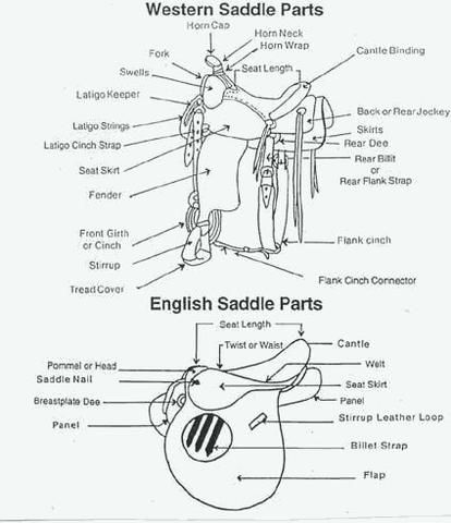 Abscess In Horse Hoof, Parts Of A Saddle, Western Riding Clothes, English Saddles, Horse Lessons, Horse Information, Horse Facts, Horse Info, Horse Riding Tips