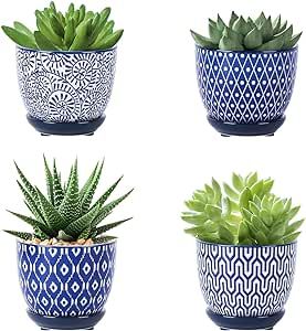 Cactus Home Decor, Succulent Outdoor, Pots For Indoor Plants, Ceramic Succulent Pots, Small House Plants, Small Flower Pots, Ceramic Succulent, Succulents Cactus, Small Potted Plants