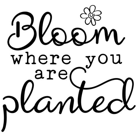 Fun Art Print, Create T Shirt Design, Bloom Where Youre Planted, Bloom Where You Are Planted, Garden Quotes, Plant Drawing, Flower Doodles, Spring Blooms, Spring Shirts