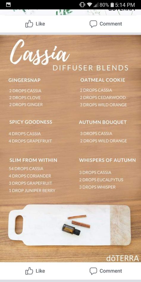 Cassia diffuser blends Cassia Diffuser Blends, Cassia Essential Oil, Eo Blends, Young Living Recipes, Fall Diffuser Blends, Myrrh Essential Oil, Doterra Oil, Vanilla Oil, Young Living Essential Oils Recipes