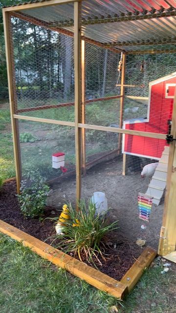 Dog Kennel Chicken Run, Silkie Chickens Coop, Bunny Hutches, Bunny Enclosure, Chicken Enclosure, Suburban Homestead, Rabbit Habitat, Small Chicken Coops, Raising Quail