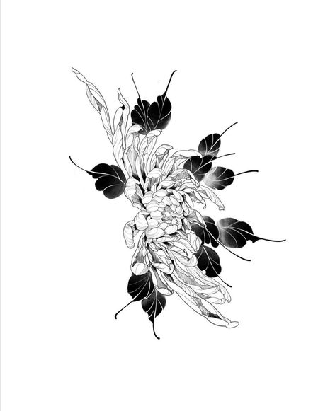 Queen Of The Night Flower Drawing, Japanese Lily Tattoo, Neo Traditional Chrysanthemum, Chrisantem Tattoo, Chrysanthemum Tattoo Design, Crisantemo Tattoo, Floral Skull Tattoos, Flower Tattoo Stencils, Flor Tattoo