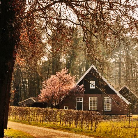 Greetings From Haaksbergen, an old Dutch farmhouse located in Twente.  #greetingsfromnl #thenetherlands #dutch #farmers #twente #haaksbergen Netherlands Farmhouse, Netherlands House, Brown Cottage, Dutch House, Old Farm Houses, Cabins And Cottages, Old Farmhouse, Old Farm, Beautiful Buildings