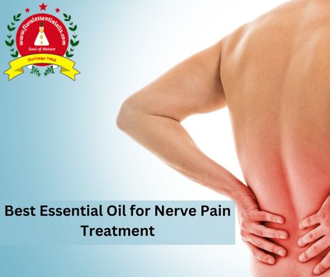 Best Essential Oils for Nerve Pain |Floral Essential Oils Nerve Problems, Helichrysum Essential Oil, Oregano Essential Oil, Floral Essential Oils, Diy Essential Oil Recipes, Essential Oils For Pain, How To Calm Nerves, Frankincense Oil, Frankincense Essential Oil