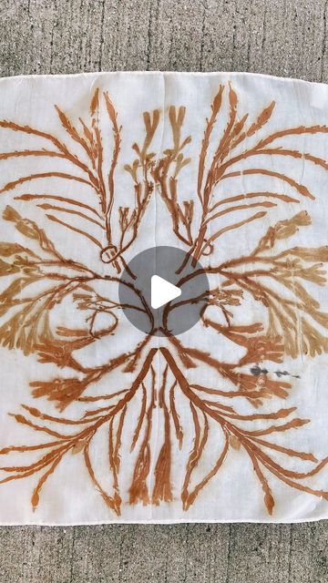 Ecoprint Tutorial, Natural Dyes For Fabric, Eco Printing Tutorial, Textile Dyeing, Shibori Print, Cellulose Fiber, Natural Textiles, Eco Printing, Natural Dye