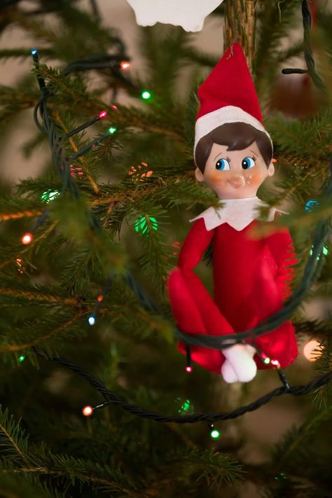 Funny Elf on the Shelf Ideas Your Kids Will Love! | TCKC Tree Props, Easy Elf On The Shelf, Easy Elf, Awesome Elf On The Shelf Ideas, Xmas Elf, Elf Antics, Christmas Preparation, Cute Christmas Wallpaper, Elf On The Shelf Ideas