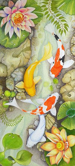 Lilly Pond by Dee Wagoner Colored Pencil ~ 12 in x 22 in Pond Life Illustration, Lily Pond Illustration, Pond Sketch, Lily Pond Painting, Pond Drawing, Jessica Wall, Koi Fish Colors, Lilly Pond, Ocean Stuff