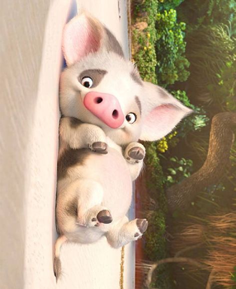 Moana Pictures, Moana Pig Pua, Moana Chicken, Moana Drawing, Moana Pua, Moana 2, Cute Disney Pictures, Disney Collage, Cute Desktop Wallpaper