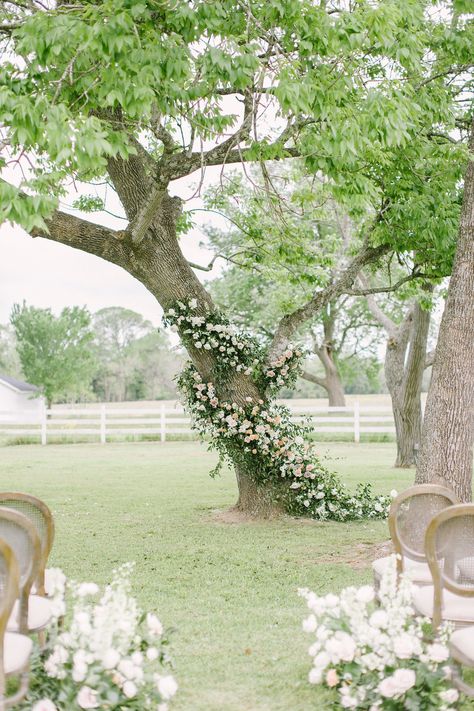 Tree Background Wedding Ceremony, Wedding Ceremony Tree Florals, Floral Wedding Tree, Tree Floral Installation, Flowers On Tree Wedding, Tree Flowers Wedding, Tree Wedding Arch, Tree Wedding Ceremony, Wedding Tree Decorations