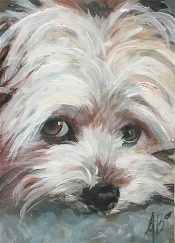 Maltese Watercolor, Maltese Watercolor Painting, Maltese Painting, Puppy Acrylic Painting, Maltese Painting Acrylic, Dog Portraits Painting, Animal Art Projects, Animal Illustration Art, Animal Portraits Art