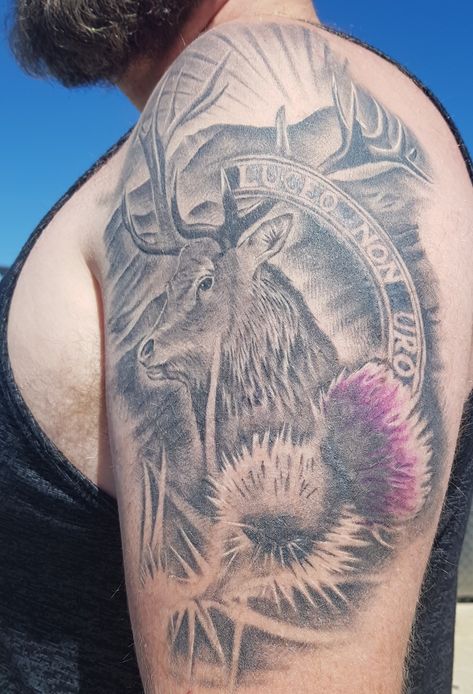 Luceo Non Uro, MacKenzie Stag, Scottish Thistle, Sick Arm Tattoos, Scotland Tattoo Ideas, Scotland Tattoo, Scottish Thistle Tattoo, Scottish Tattoo, Feminine Cross Tattoo, Scottish Tattoos, Small Cross Tattoos, Stag Tattoo