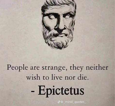 Heavy Quotes, Interior Quotes, Epictetus Quotes, Ancient Quotes, Greek Literature, Stoic Philosophy, Stoicism Quotes, Gratitude Journal Prompts, Stoic Quotes