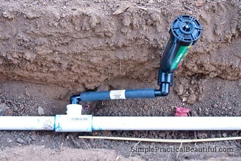 Sprinkler System Design, In Ground Sprinkler System, Sprinkler System Diy, Sprinkler System Installation, Irrigation System Diy, Irrigation Diy, Sprinkler Valve, Gardening Drawing, Irrigation Valve