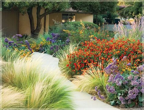 Water-Wise Gardening Tips - Dengarden - Home and Garden Drought Tolerant Plants California, California Garden Design, Tiny Yard, California Landscaping, Xeriscape Front Yard, California Native Garden, Water Wise Landscaping, Drought Tolerant Garden, Waterwise Garden