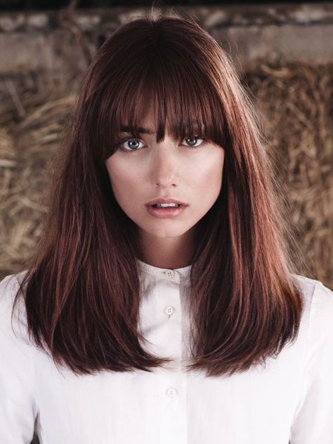 Pony Hairstyles, Hair 2018, Super Hair, Classic Hairstyles, Short Straight Hair, Fringe Hairstyles, Long Brown Hair, Stil Inspiration, Medium Hair Cuts