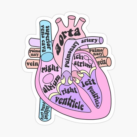 Med Stickers, Medical Stickers, خريطة ذهنية, Studying Medicine, Medicine Notes, Medicine Studies, Penanda Buku, Science Stickers, Heart Anatomy