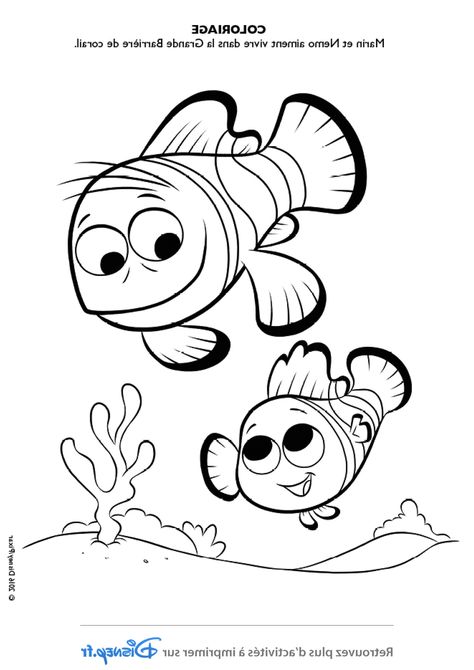 Coloriage Dory . 13 Adorable Coloriage Dory Collection. Coloriage Bébé Dory à Imprimer. Coloriage Monsieur Raie Le Monde De Dory Dessin. Coloriage Marin Et Nemo. Coloriages Dory Marin Et Némo Fr Hellokids. Coloriage Mandala Disney Art therapie Le Monde De Dory Dessin. Coloriage Dory A Grandi Finding Nemo Coloring Pages, Nemo Coloring Pages, Coloring Pictures For Kids, Coloring Pages For Teenagers, Kids Printable Coloring Pages, Free Kids Coloring Pages, Preschool Coloring Pages, Free Coloring Sheets, Coloring Pages For Boys