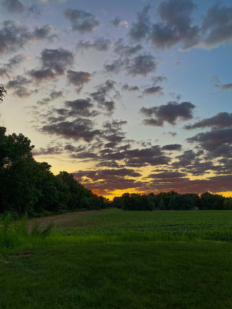 Background Sunrise, Cloudy Sunrise, Sunset Field, Tree Aesthetic, Leading Lines, Cloudy Skies, Sky Summer, Summer Green, Green Landscape