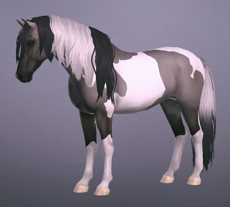 Etg Horse Game, Equestrian The Game, Horse Games, Star Stable, Stables, The Game, Games To Play, Equestrian, Horses