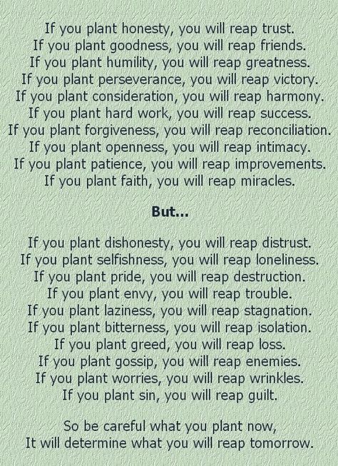 What You Sow, You Will Reap! We Reap What We Sow Quotes, Reaping What You Sow Quotes, Christian Poems, Reap What You Sow, Quotes By Authors, Positive Self Affirmations, Lesson Quotes, Bible Encouragement, Life Lesson Quotes