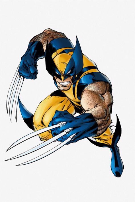 Wolverine-fighting pose as he is drawn in a lot of comics Wonder Woman Comics, Wolverine Tattoo, Wolverine Comic Art, Wolverine Artwork, Hawkeye Avengers, Logan Howlett, Comics Style, Wolverine Logan, Marvel Wolverine