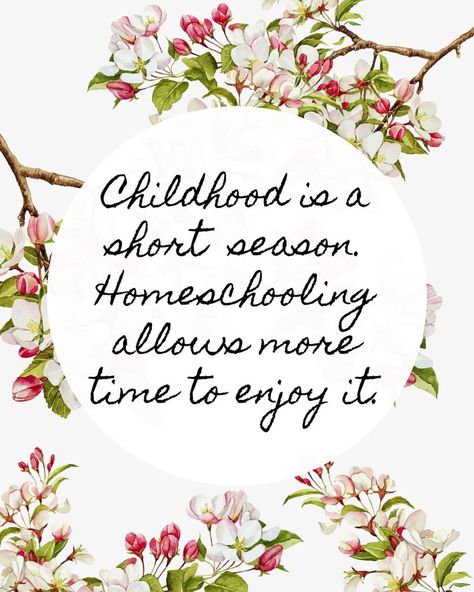 Homeschool Quotes Inspiration, Homeschool Encouragement Quotes, Unschooling Quotes, Homeschool Mom Quotes, Homeschool Quotes, Homeschool Education, Homeschool Inspiration, Homeschool Encouragement, Homeschool Kids