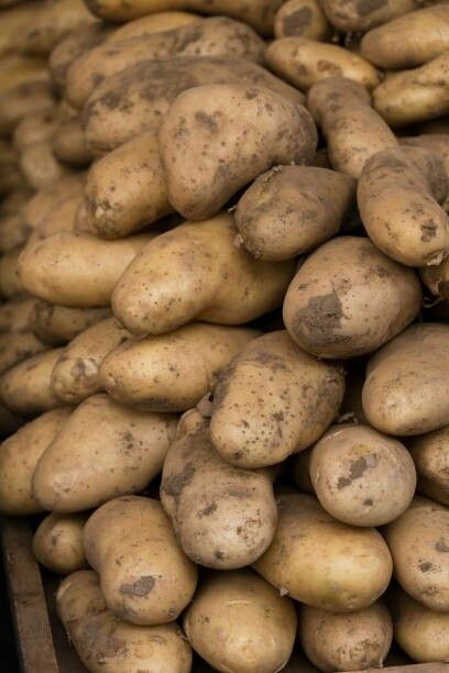 Potato Picture, Potato Images, Potato Farm, Eco Food, Background Food, Curvy Women Outfits, London City, Fruits And Vegetables, Kids Meals