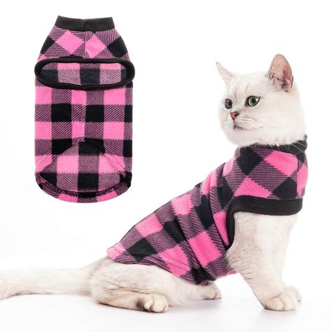 Cat Pfp Funny, Fat Cats Funny, Cute Cat Funny, Vest Clothes, Cat Dress, Cat Sweater, Cat Fashion, Cat Dresses, Cat Sweatshirt