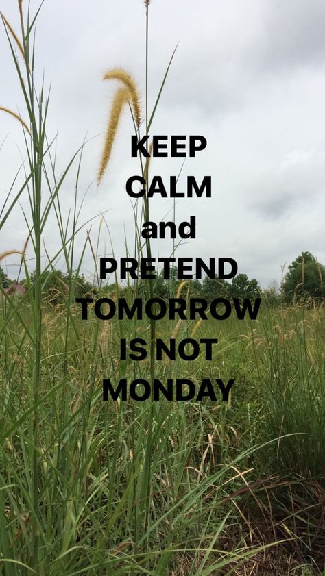 Tomorrow Is Monday, Sunday Quotes, Cartoon Jokes, Keep Calm, Humor, Funny, Quotes, Humour